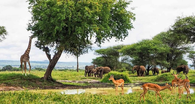 Adventures Time Tanzania