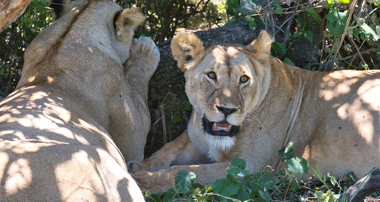 Adventures Time Tanzania