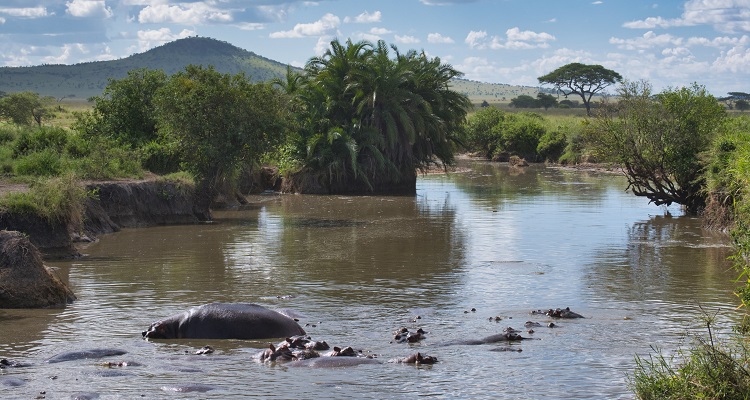 Adventures Time Tanzania