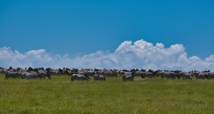 Adventures Time Tanzania