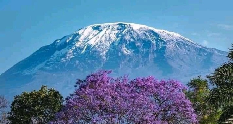 Adventures Time Tanzania