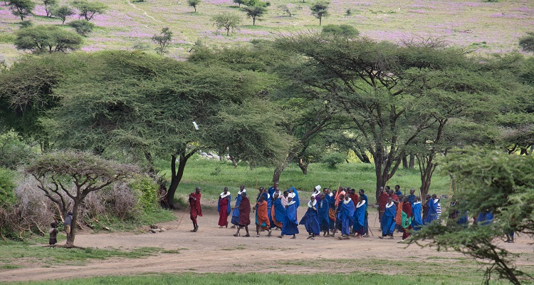 Adventure Time Tanzania